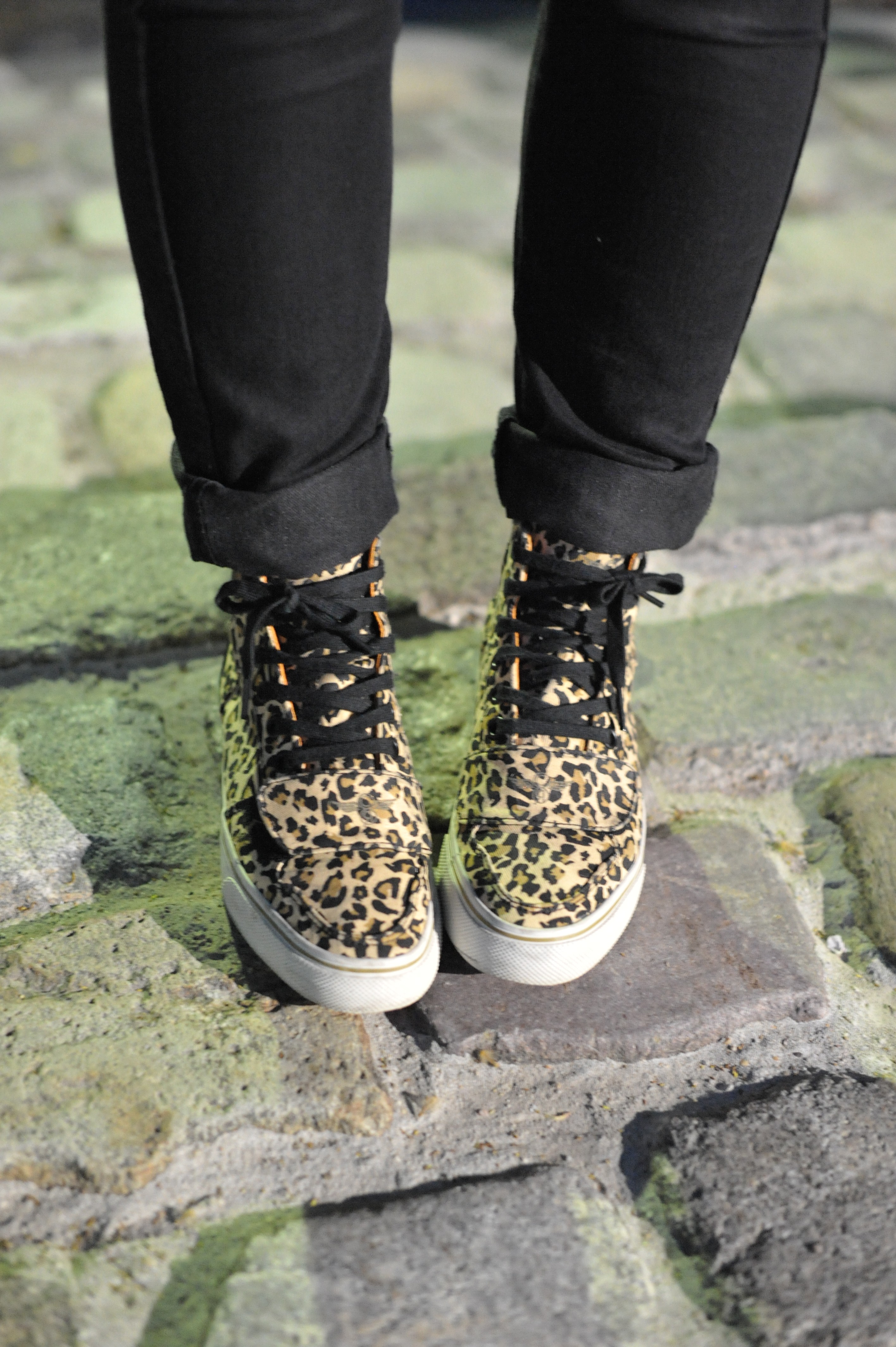 sneakers baskets leopard